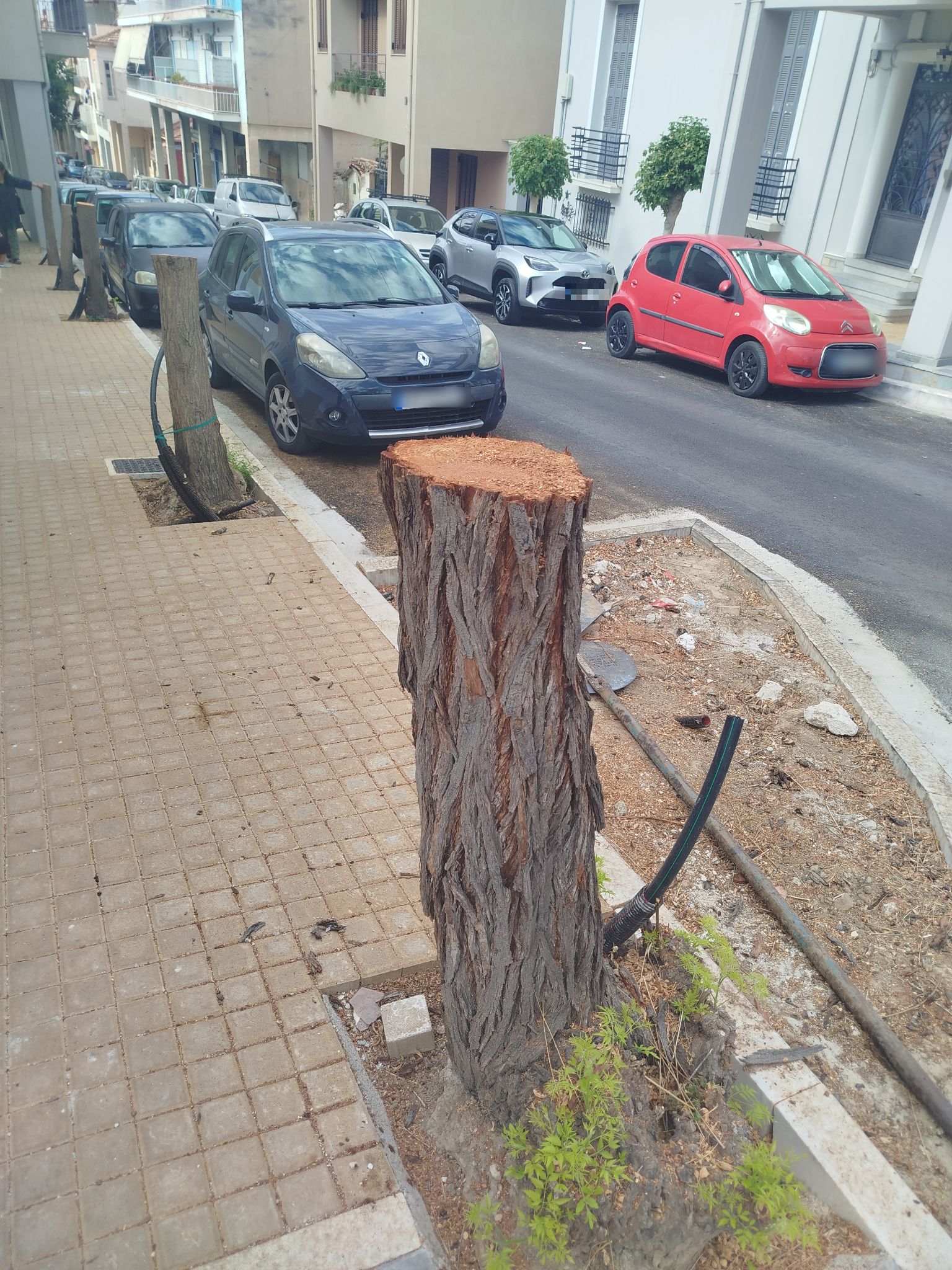 ΚΟΠΗ ΔΕΝΔΡΩΝ