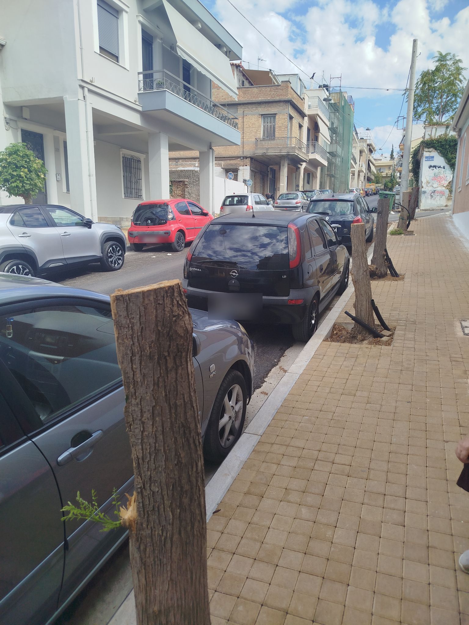ΚΟΠΗ ΔΕΝΔΡΩΝ