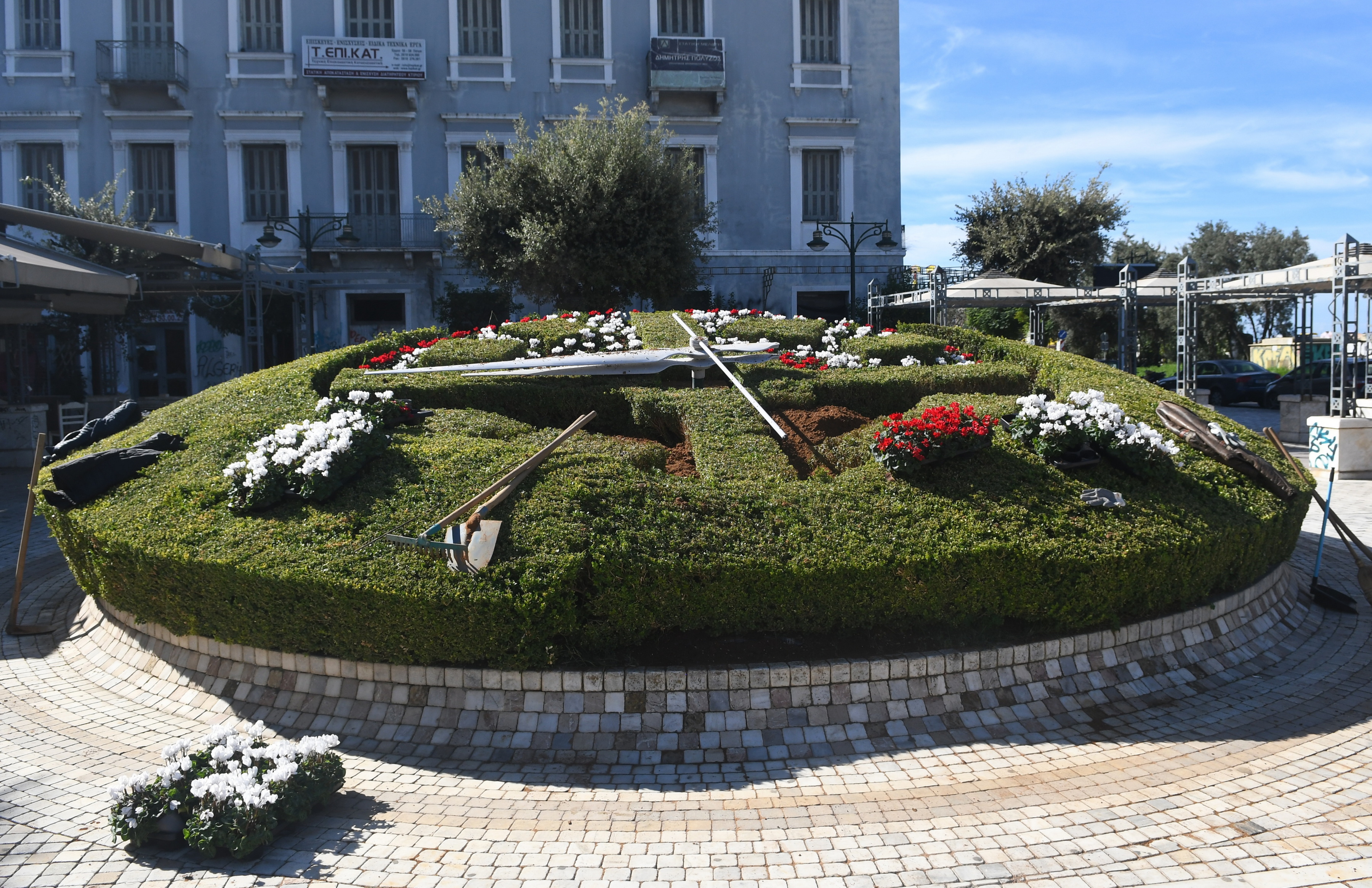 ΑΝΘΙΝΟ ΡΟΛΟΪ