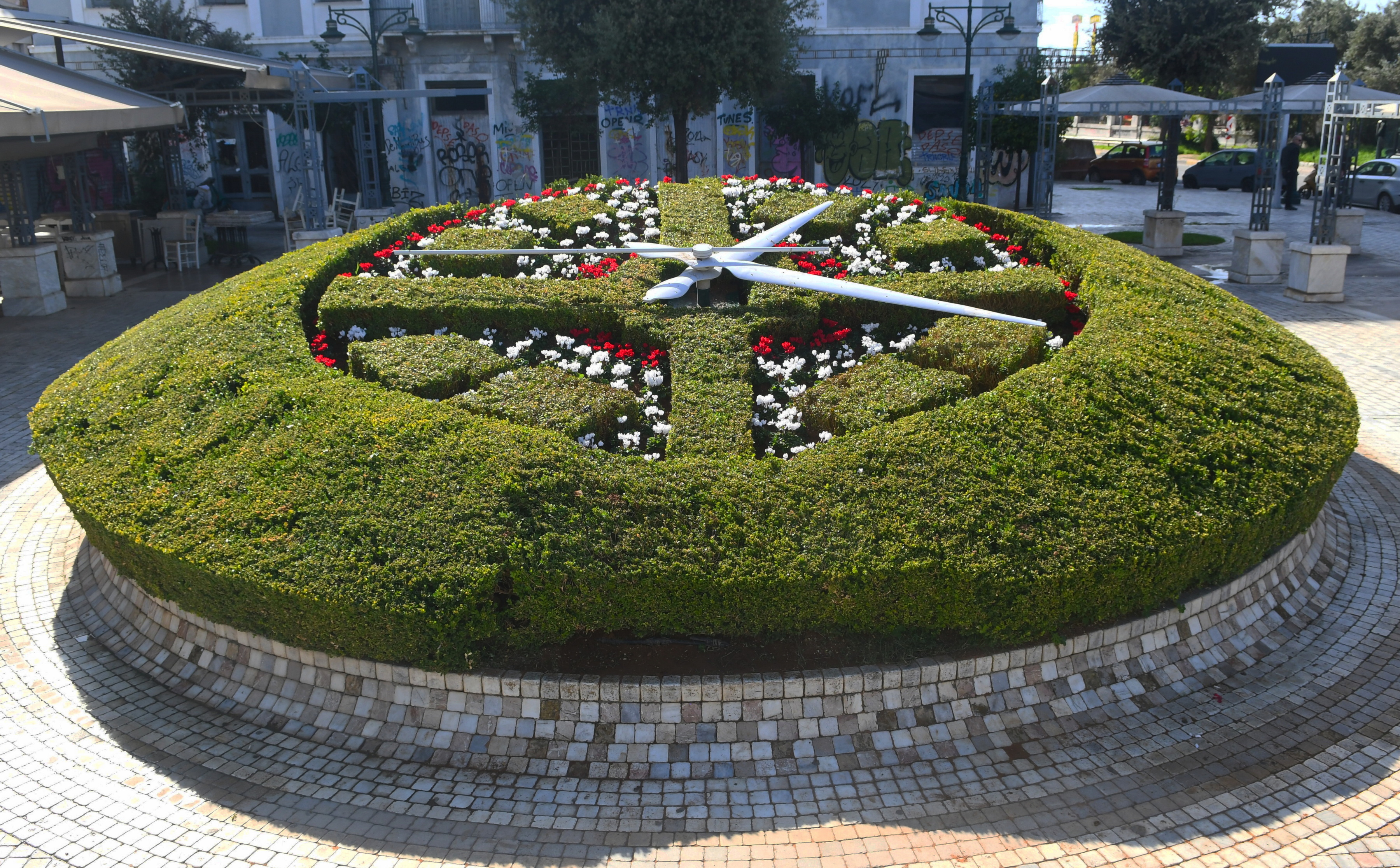 ΑΝΘΙΝΟ ΡΟΛΟΪ