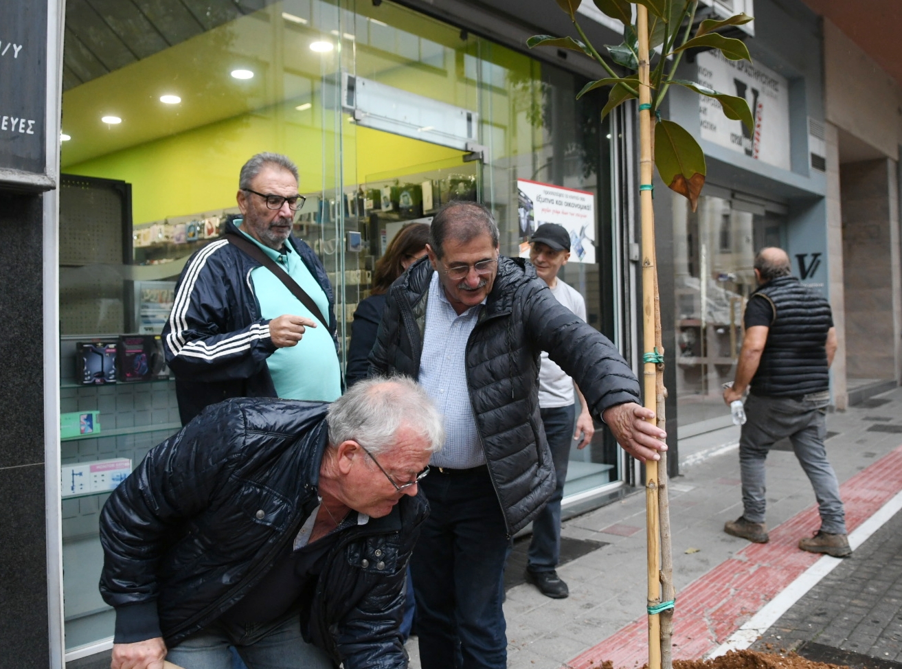 ΔΕΝΔΡΟΦΥΤΕΥΣΗ ΓΟΥΝΑΡΗ2