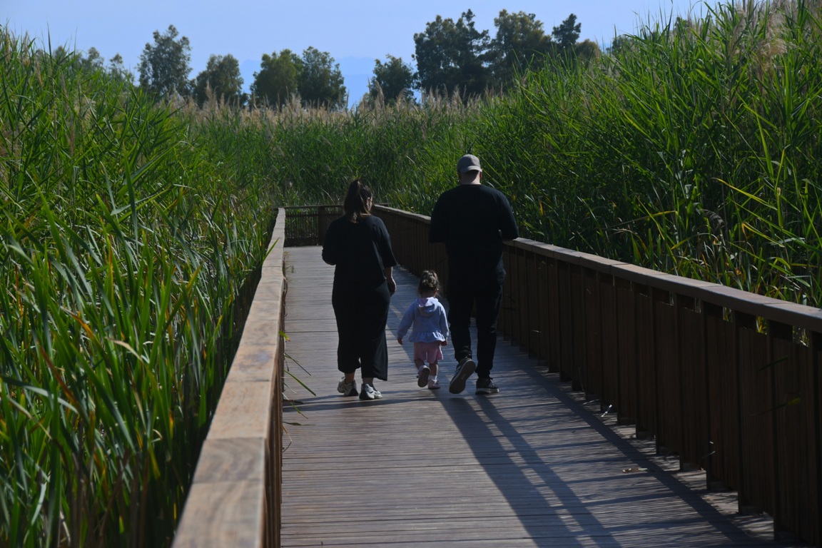 ΕΛΟΣ ΑΓΥΙΑΣ