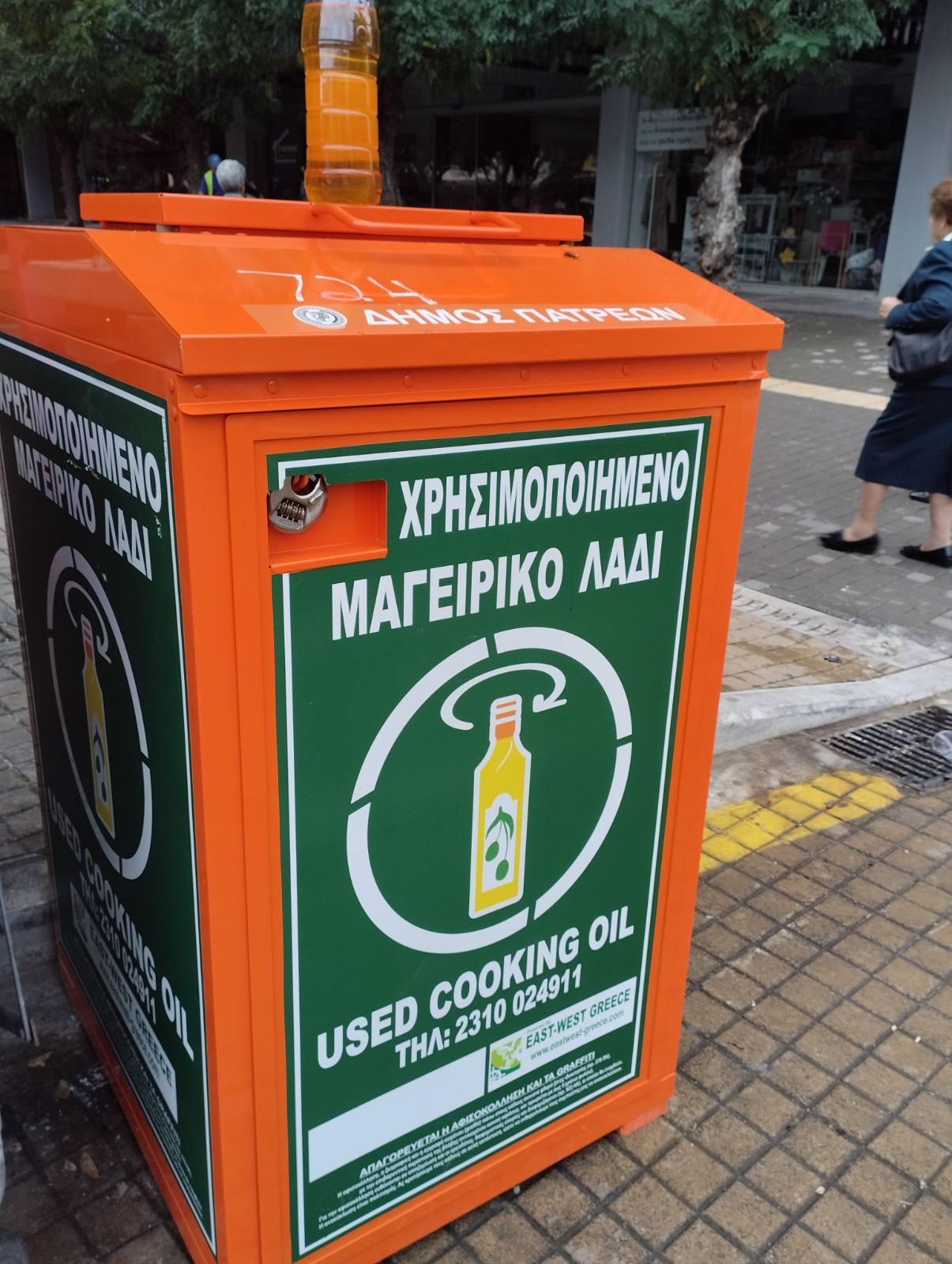 ΤΗΓΑΝΕΛΑΙΑ