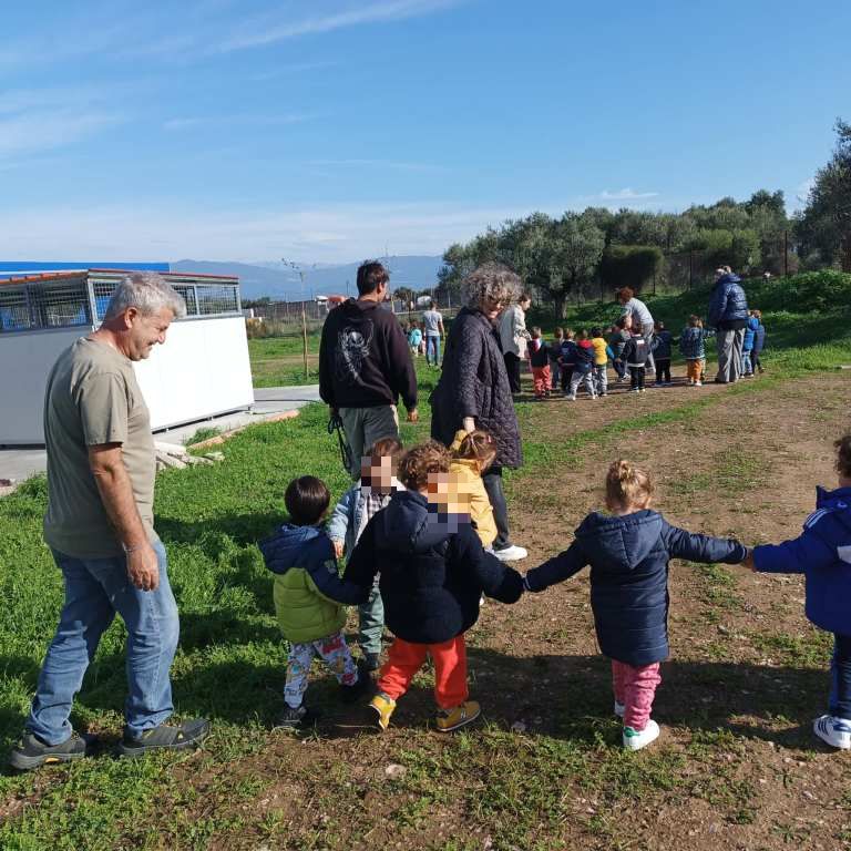 ΠΡΟΝΗΠΙΑ ΔΡΕΠΑΝΟ4