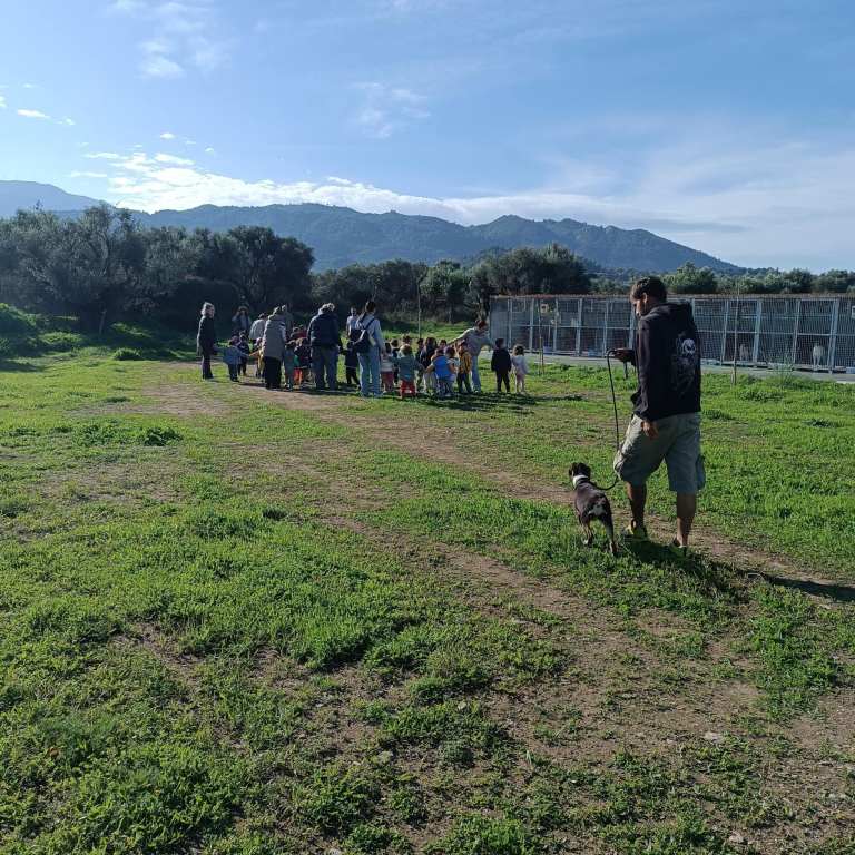 ΠΡΟΝΗΠΙΑ ΔΡΕΠΑΝΟ