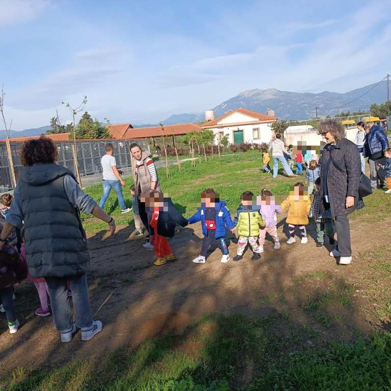 ΠΡΟΝΗΠΙΑ ΔΡΕΠΑΝΟ5