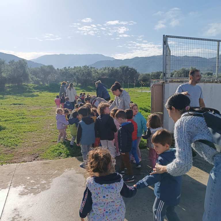 ΠΡΟΝΗΠΙΑ ΔΡΕΠΑΝΟ7