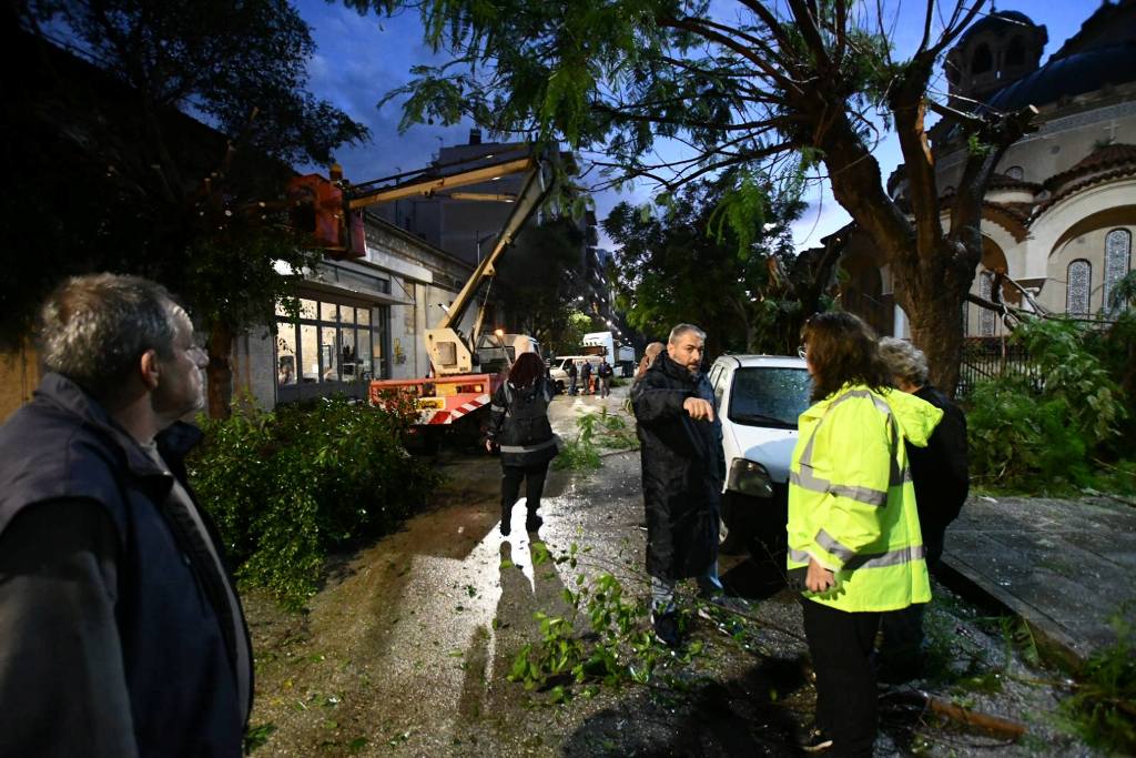 ΑΝΑΣΤΑΣΙΟΥ - ΑΝΕΜΟΘΥΕΛΛΑ