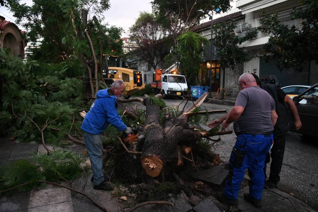 ΑΝΕΜΟΘΥΕΛΛΑ2