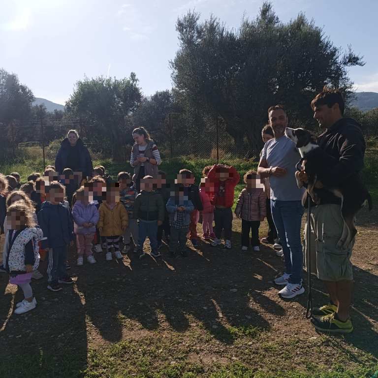 ΠΡΟΝΗΠΙΑ ΔΡΕΠΑΝΟ3