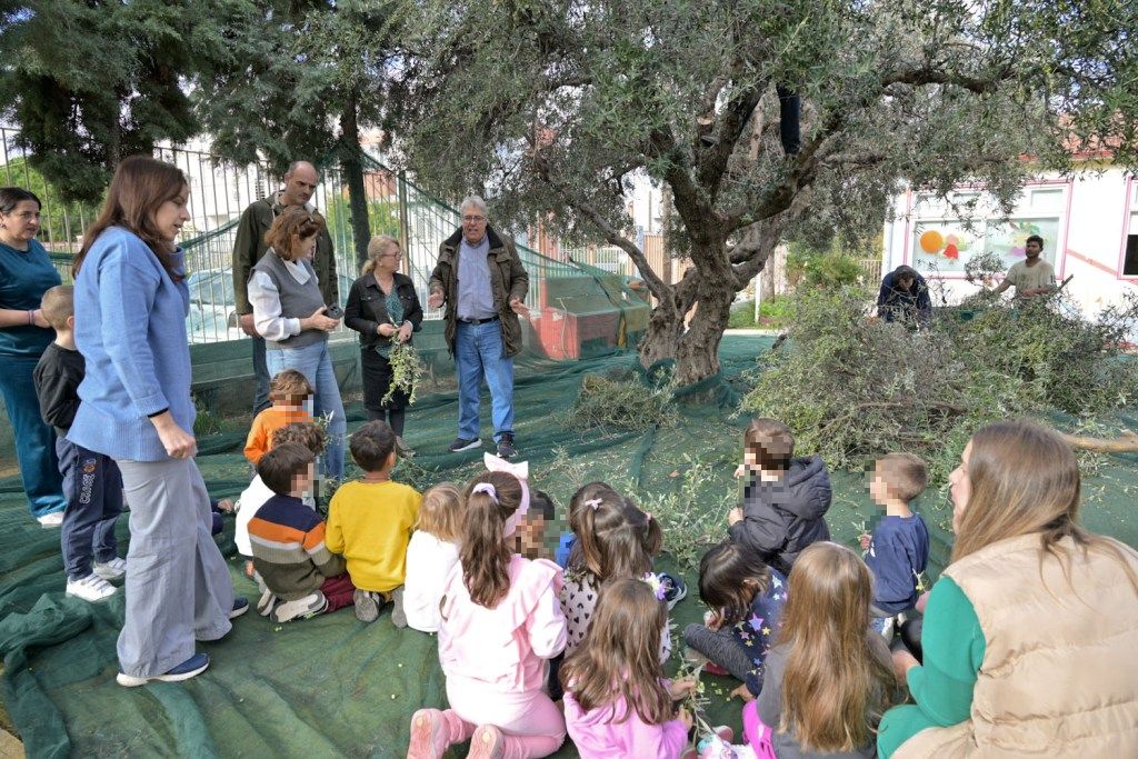 ΠΕΛΕΚΟΥΔΑΣ - 2ο ΝΗΠΙΑΓΩΓΕΙΟ ΡΙΟΥ - ΕΛΙΕΣ