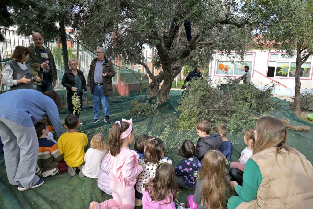 ΠΕΛΕΚΟΥΔΑΣ - 2ο ΝΗΠΙΑΓΩΓΕΙΟ ΡΙΟΥ - ΕΛΙΕΣ2