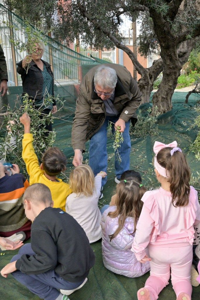 ΠΕΛΕΚΟΥΔΑΣ - 2ο ΝΗΠΙΑΓΩΓΕΙΟ ΡΙΟΥ - ΕΛΙΕΣ3