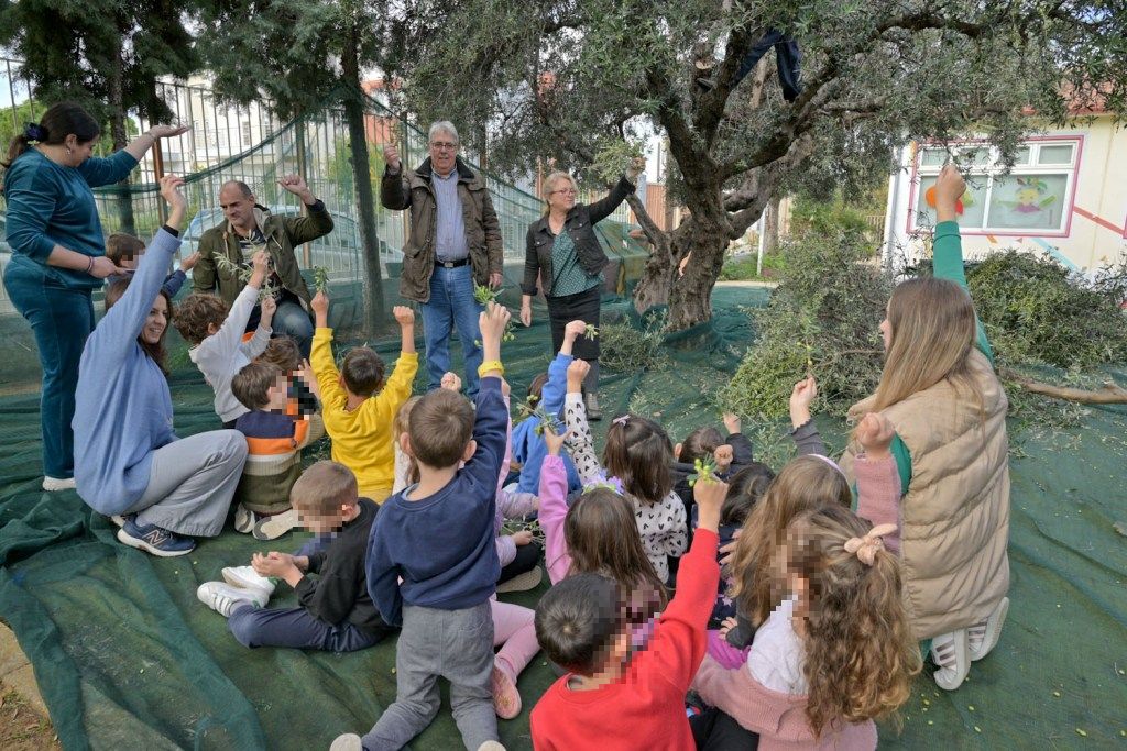 ΠΕΛΕΚΟΥΔΑΣ - 2ο ΝΗΠΙΑΓΩΓΕΙΟ ΡΙΟΥ - ΕΛΙΕΣ4