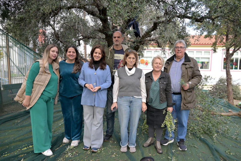 ΠΕΛΕΚΟΥΔΑΣ - 2ο ΝΗΠΙΑΓΩΓΕΙΟ ΡΙΟΥ - ΕΛΙΕΣ5