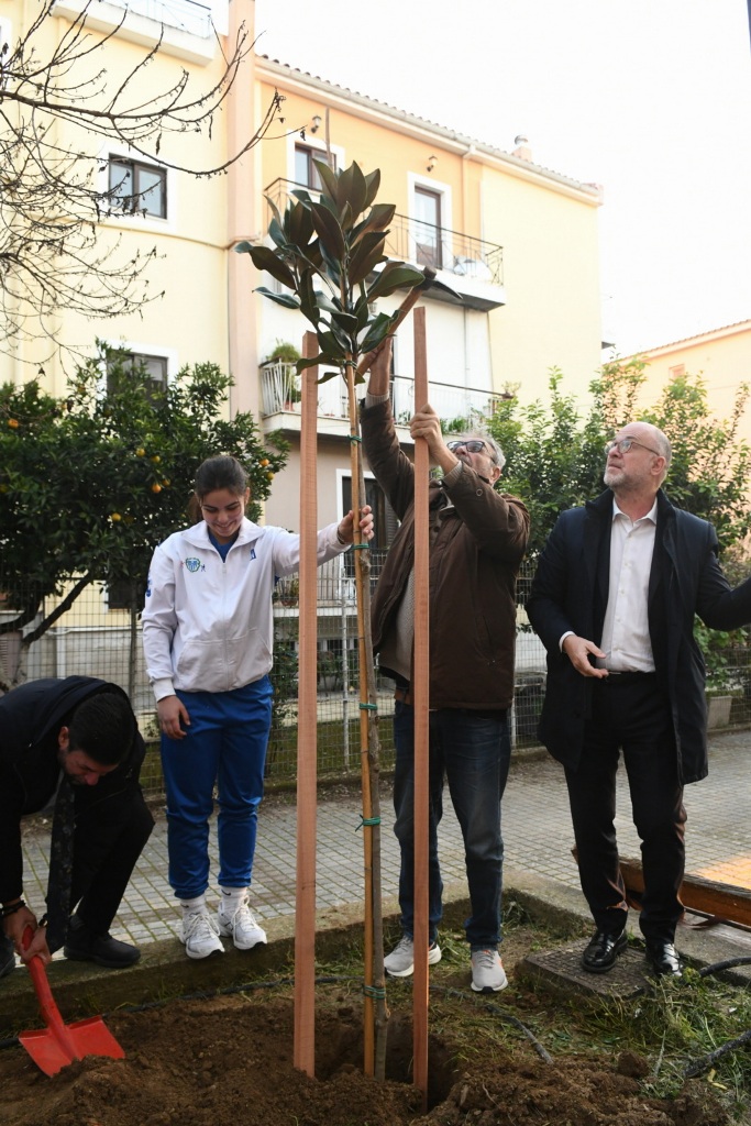 ΠΕΤΡΟΠΟΥΛΟΣ - ΠΥΓΜΑΧΙΑ1