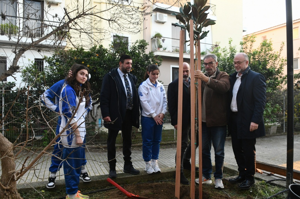 ΠΕΤΡΟΠΟΥΛΟΣ - ΠΥΓΜΑΧΙΑ2