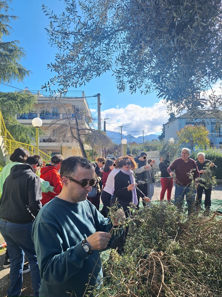 ΕΛΙΕΣ - ΚΔΑΠΑμεΑ1