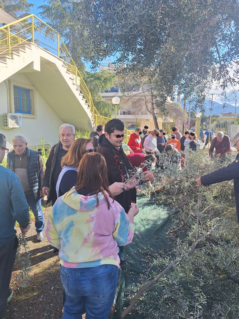 ΕΛΙΕΣ - ΚΔΑΠΑμεΑ3