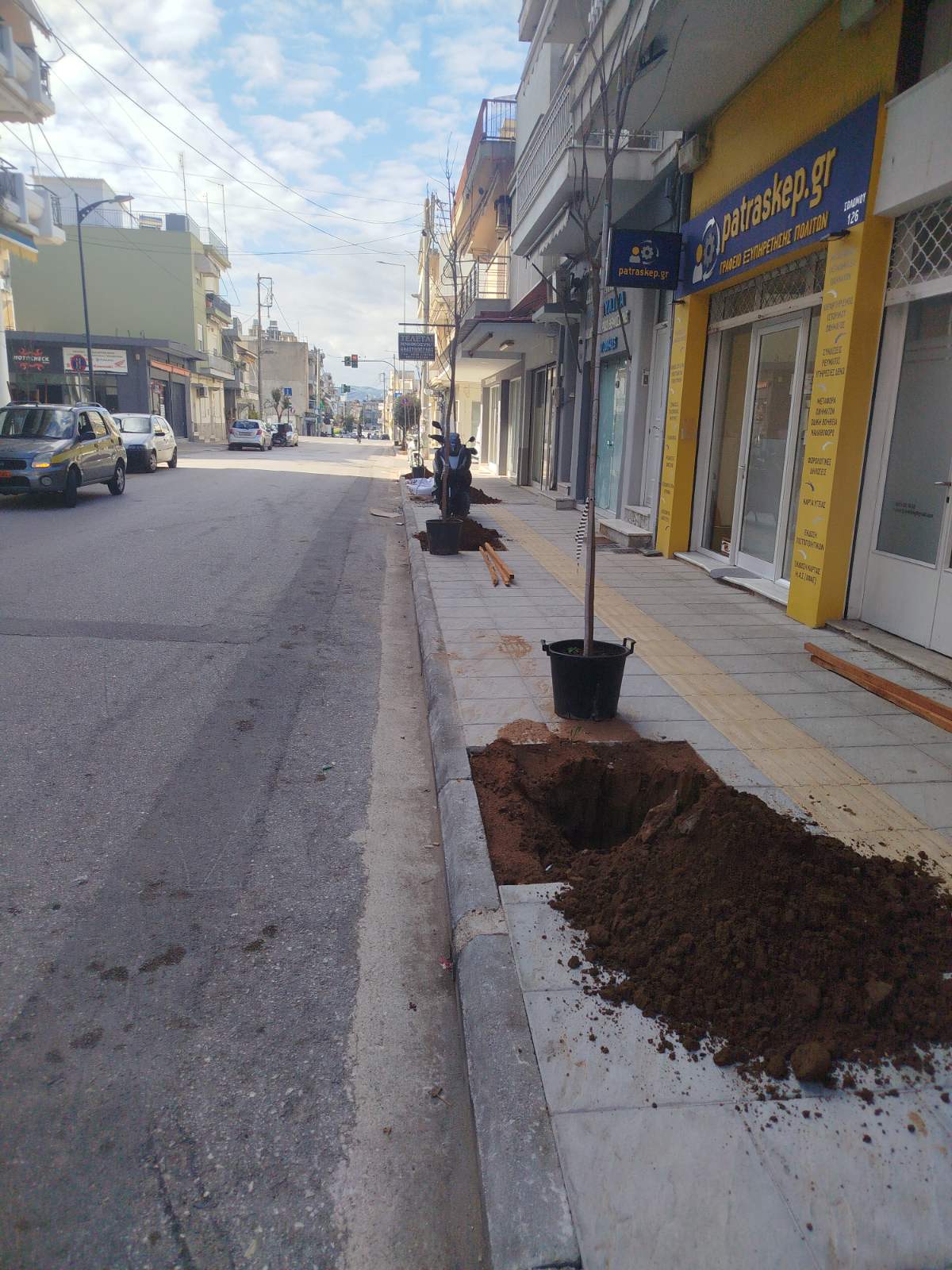 ΔΕΝΔΡΟΦΥΤΕΥΣΗ ΣΟΛΩΜΟΥ