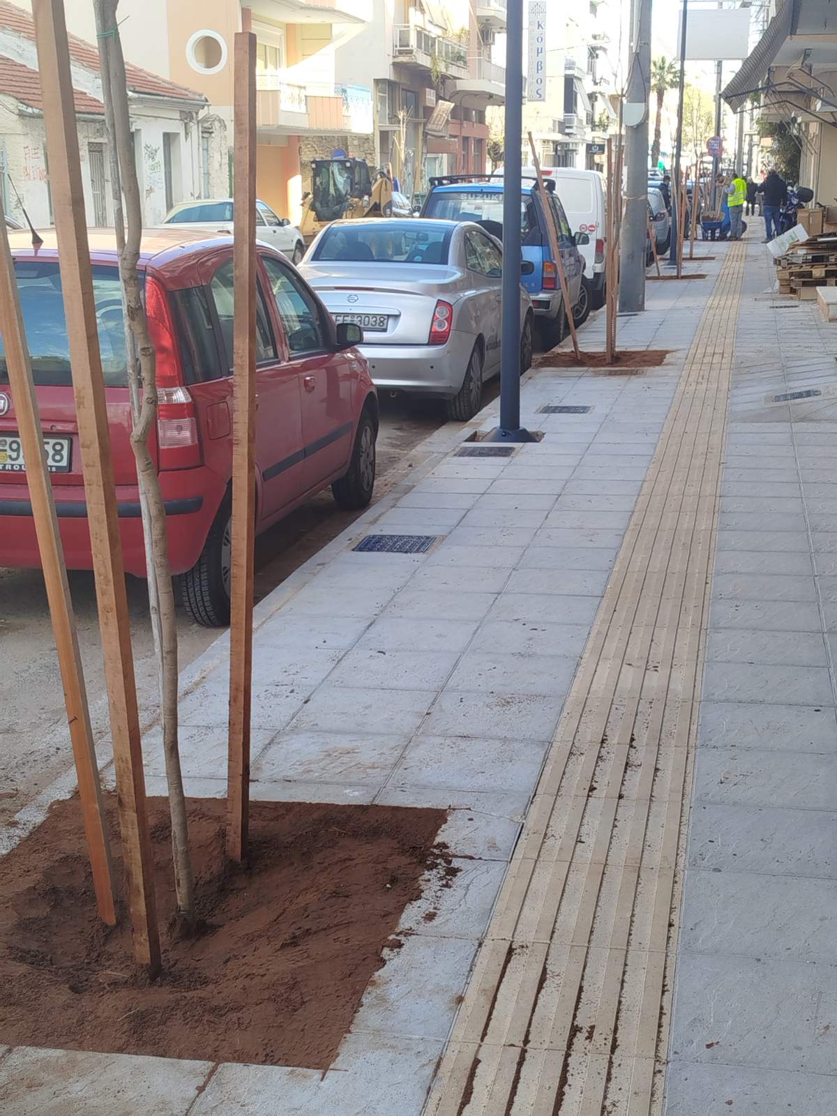 ΔΕΝΔΡΟΦΥΤΕΥΣΗ ΣΟΛΩΜΟΥ1