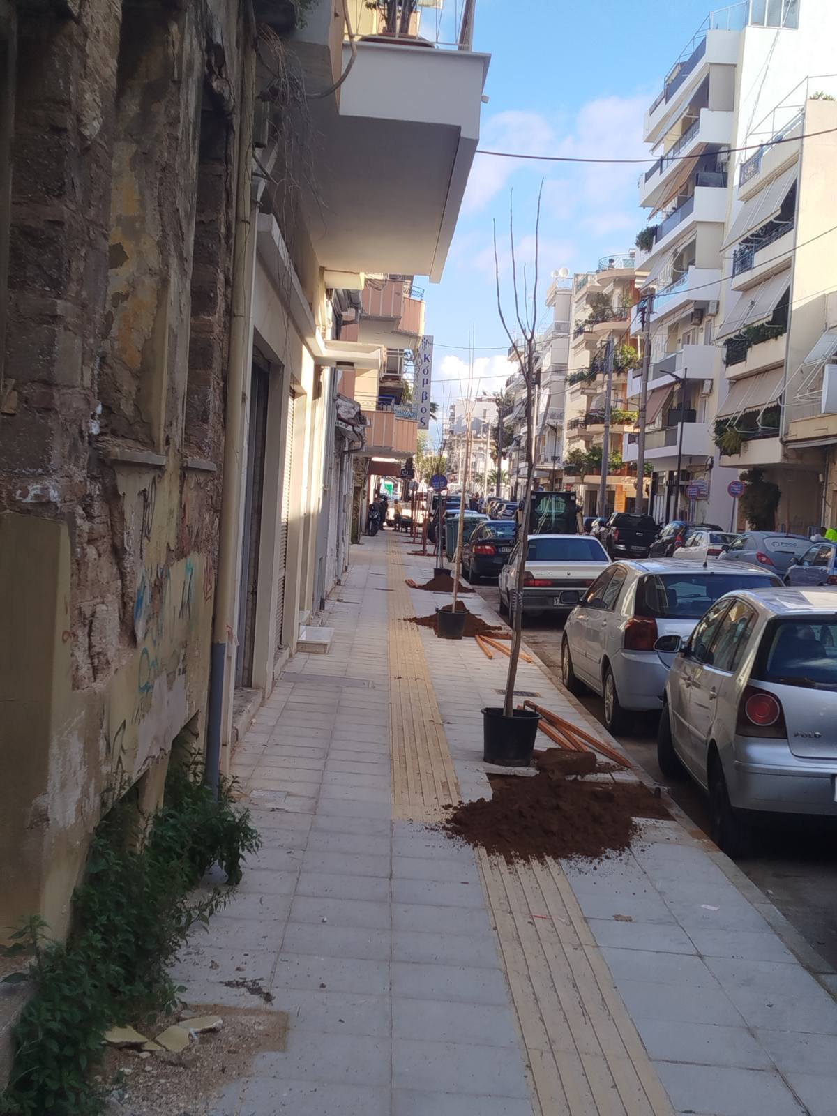 ΔΕΝΔΡΟΦΥΤΕΥΣΗ ΣΟΛΩΜΟΥ2