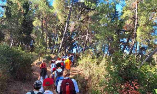 ΚΑΤΑΣΚΗΝΩΣΗ ΔΑΣΟΣ ΟΜΠΛΟΥ1