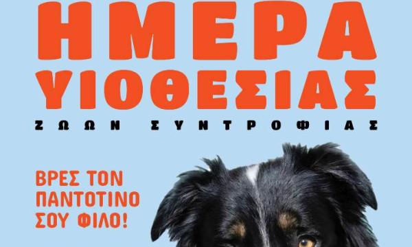 ΑΦΙΣΑ - ΜΕΡΑ ΥΙΟΘΕΣΙΑΣ