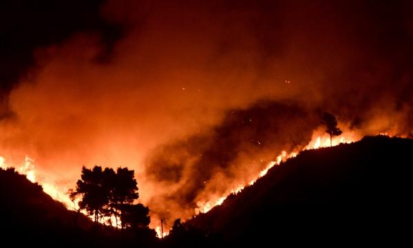 φωτια 12 Αυγουστου