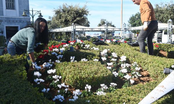 ΑΝΘΙΝΟ ΡΟΛΟΙ