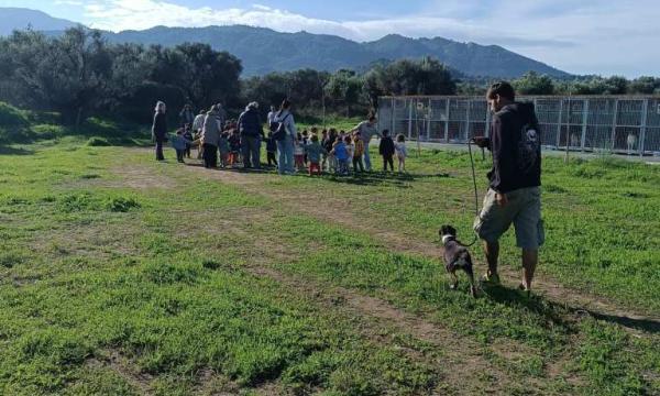 ΠΡΟΝΗΠΙΑ ΔΡΕΠΑΝΟ