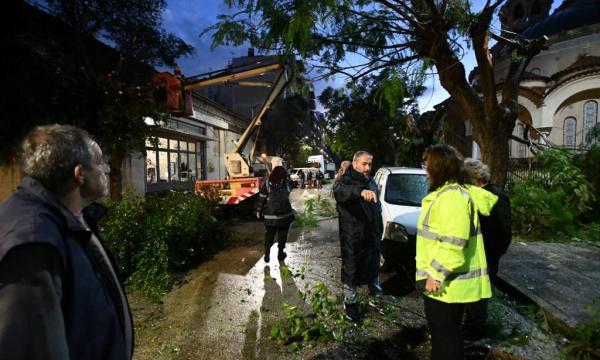 ΑΝΑΣΤΑΣΙΟΥ - ΑΝΕΜΟΘΥΕΛΛΑ