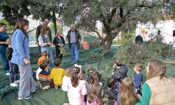 ΠΕΛΕΚΟΥΔΑΣ - 2ο ΝΗΠΙΑΓΩΓΕΙΟ ΡΙΟΥ - ΕΛΙΕΣ