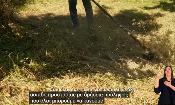για το σποτ