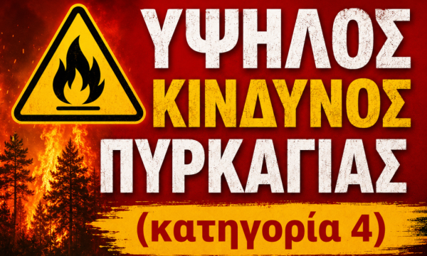 pyrkagia