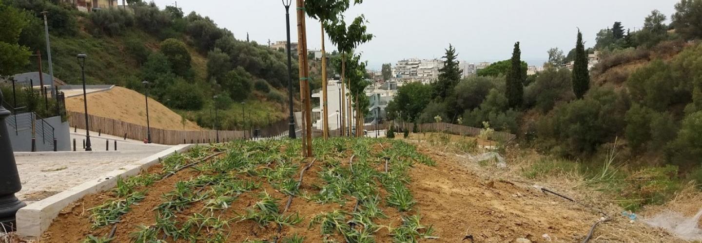 Τμήμα Μελέτων Έργων Πρασίνου