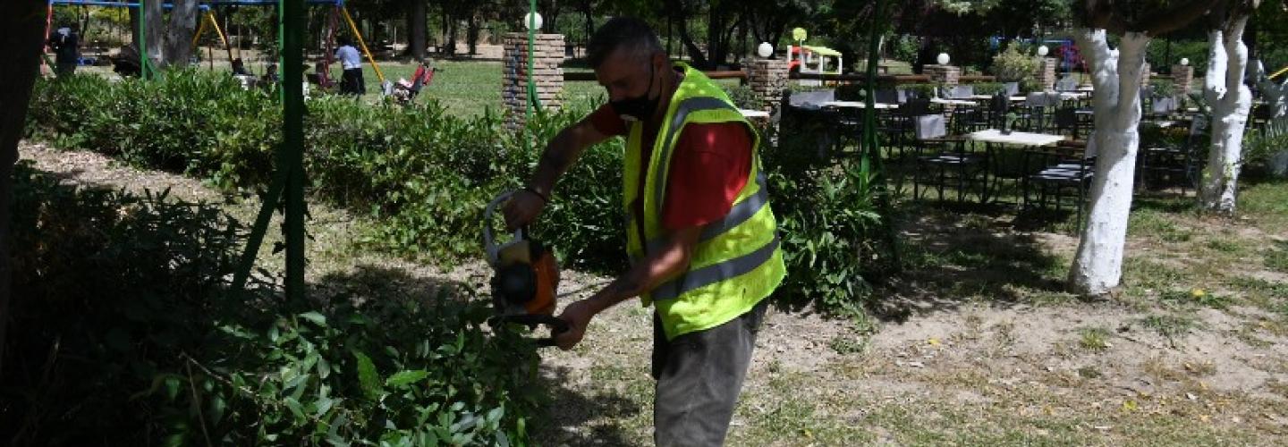 ΚΗΠΟΣ ΣΚΑΓΙΟΠΟΥΛΕΙΟΥ
