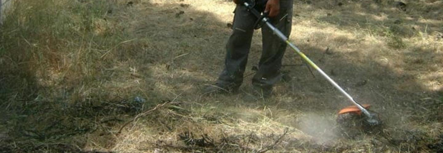 ΚΑΘΑΡΙΣΜΟΣ ΟΙΚΟΠΕΔΟΥ