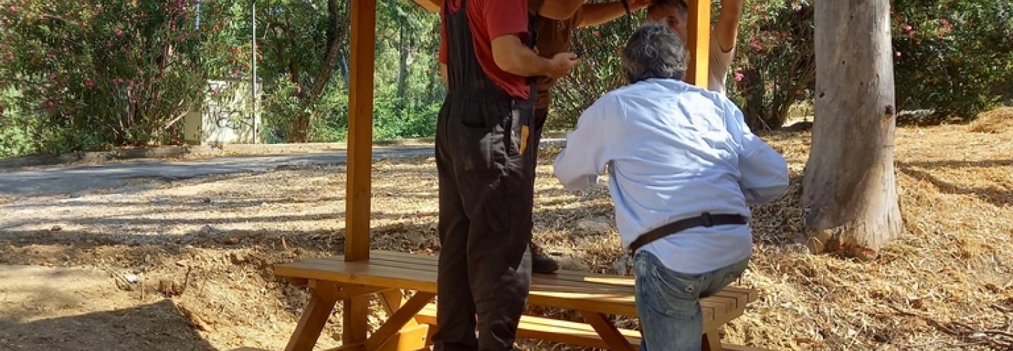 ΠΑΓΚΟΣ ΔΑΣΥΛΛΙΟ