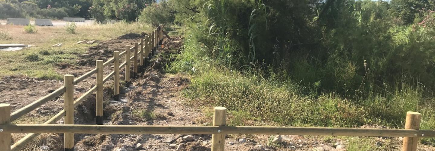 ΠΛΑΤΑΝΟΔΑΣΟΣ 1