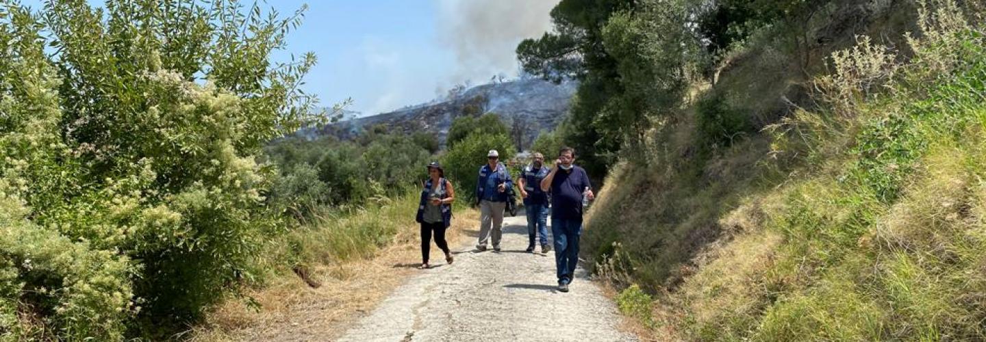 ΦΩΤΙΑ ΜΠΟΖΑΙΤΙΚΑ