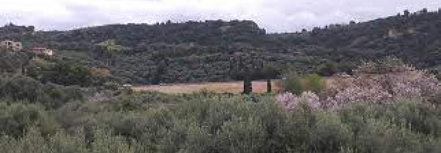 ΔΑΣΟΣ ΒΡΑΧΝΕΙΚΩΝ