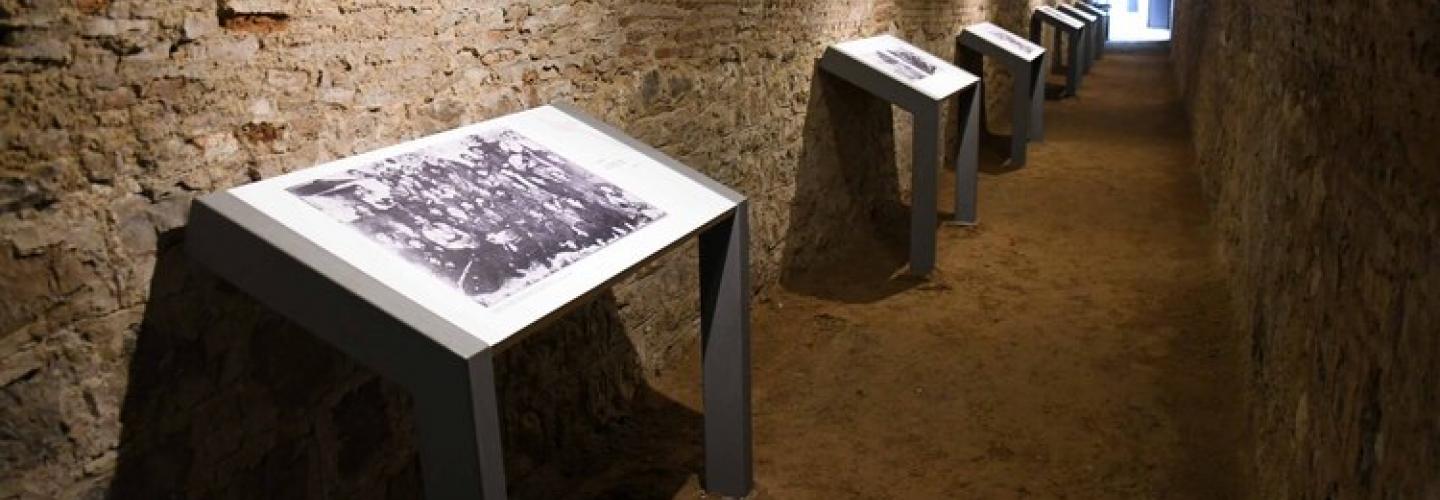 ΚΑΤΑΦΥΓΙΟ 1