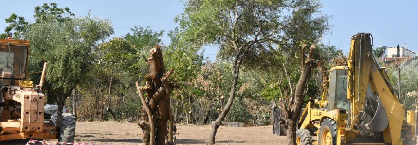 ΠΛΑΤΕΙΑ ΜΠΕΓΟΥΛΑΚΙ1