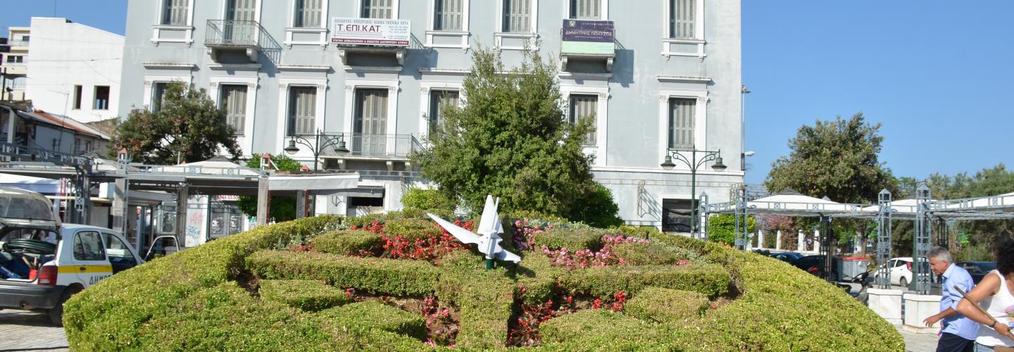 ΑΝΘΙΝΟ ΡΟΛΟΪ