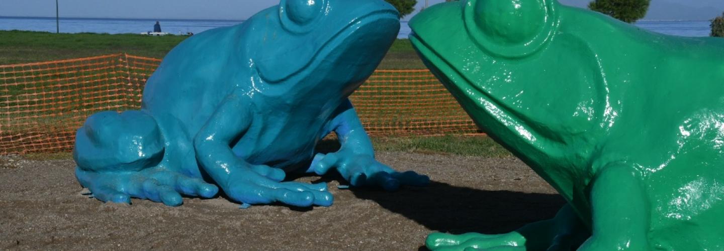 ΠΑΡΚΟ ΣΤΟ ΠΑΡΚΟ 1