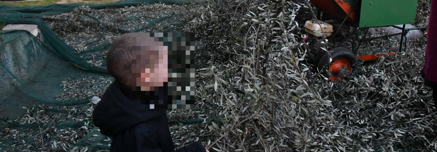 ΝΗΠΙΑΓΩΓΕΙΟ ΕΛΙΕΣ