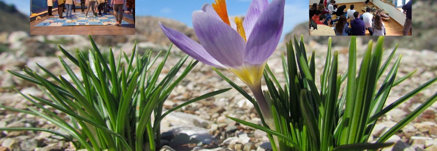 Κέντρα Περιβαλλοντικής Πληροφόρησης