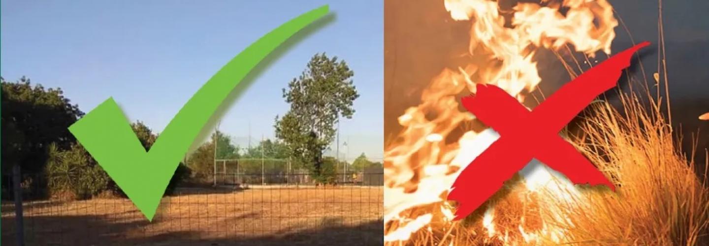 ΓΙΑ ΚΑΘΑΡΙΣΜΟ ΟΙΚΟΠΕΔΩΝ