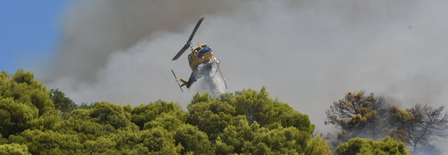 ΦΩΤΙΑ ΚΑΛΛΙΘΕΑ